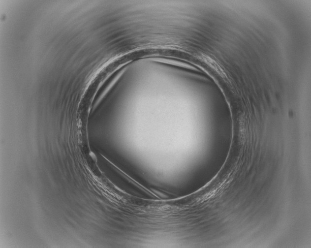 X0000059090926200510211603