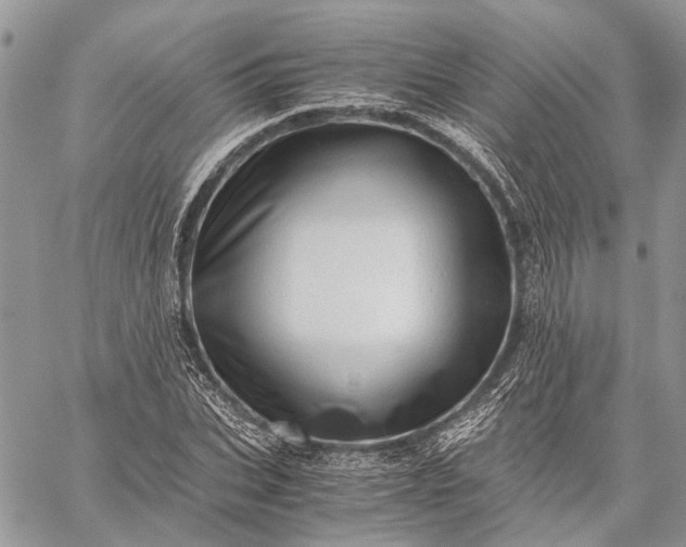 X0000059090927200510211603