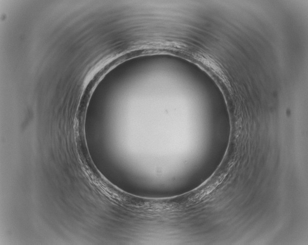 X0000059090928200510211603