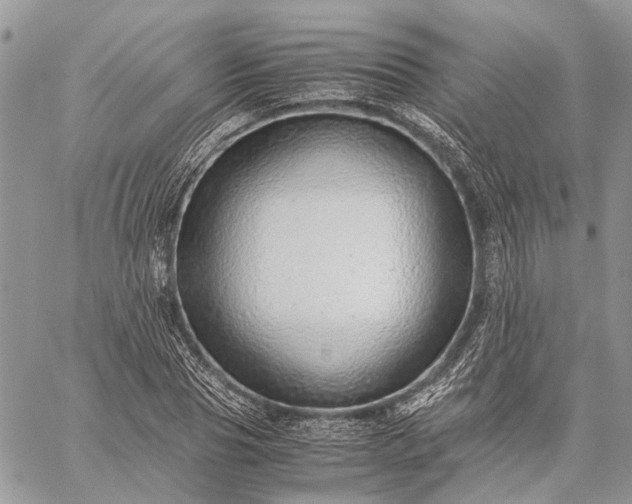 X0000059090929200510211603