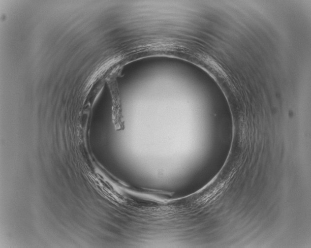 X0000059090930200510211603