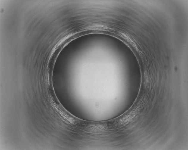 X0000059090931200510211603