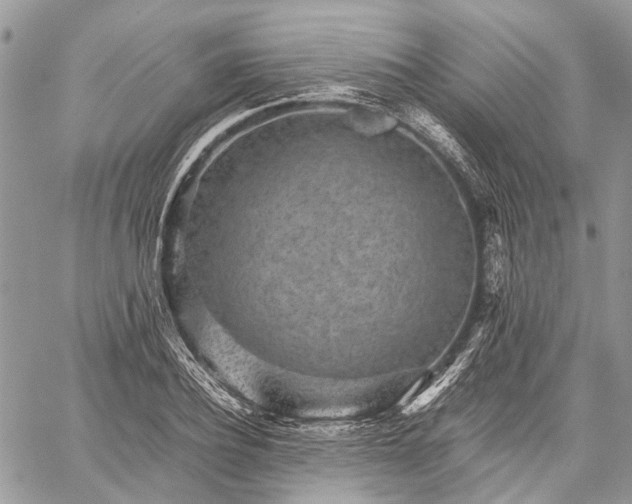 X0000059090932200510211603