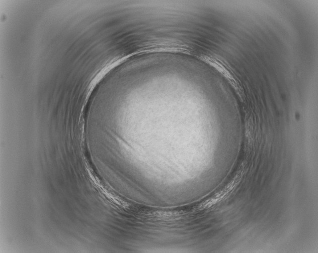 X0000059090933200510211603