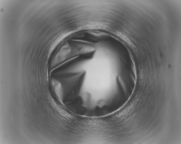 X0000059090934200510211603