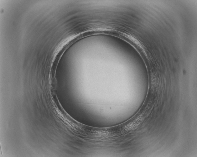 X0000059090935200510211603