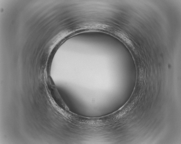 X0000059090936200510211603