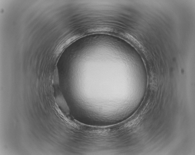 X0000059090937200510211603