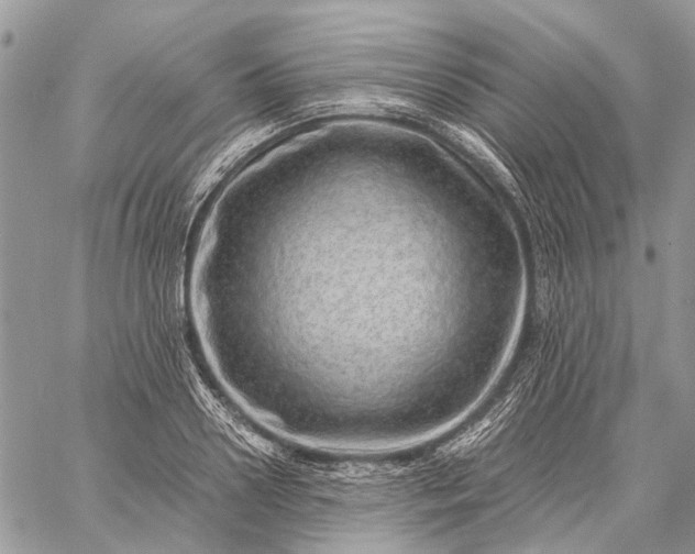 X0000059090938200510211603