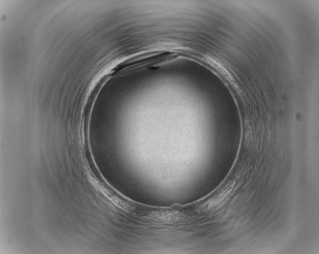 X0000059090939200510211603