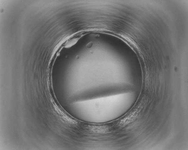 X0000059090941200510211603