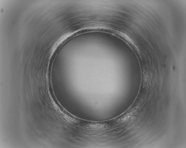 X0000059090943200510211603