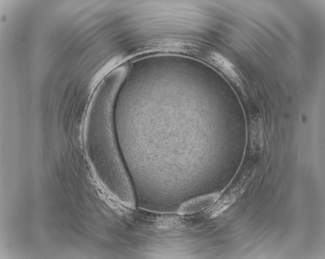 X0000059090944200510211603