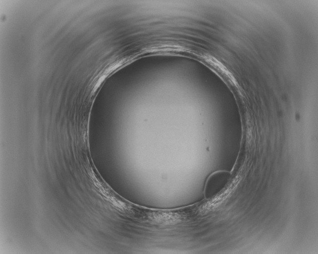 X0000059090945200510211603