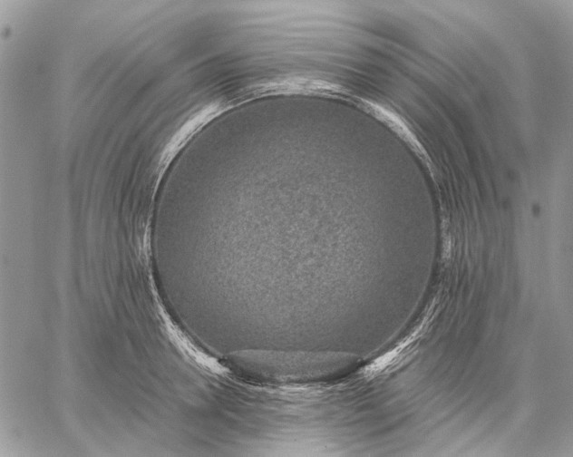 X0000059090946200510211603