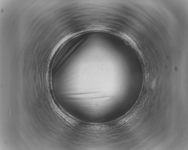 X0000059090947200510211603