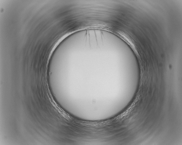 X0000059090948200510211603