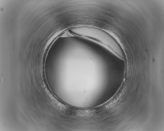 X0000059090949200510211603