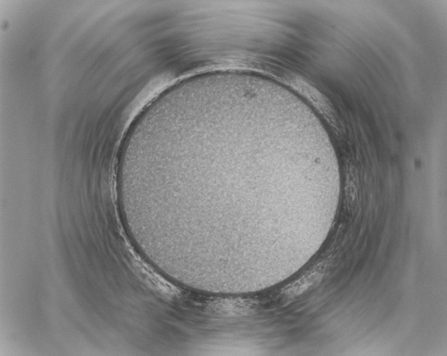 X0000059090950200510211603