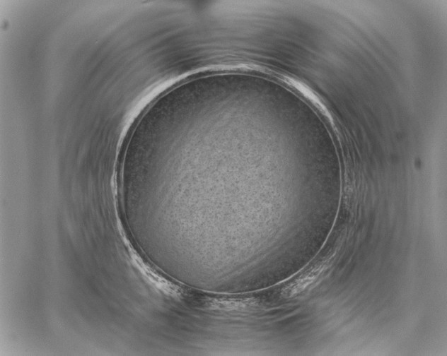 X0000059090951200510211603