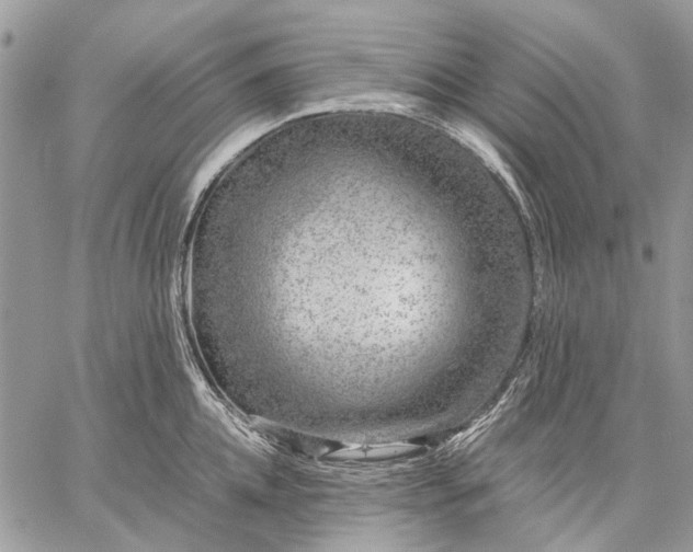 X0000059090952200510211603