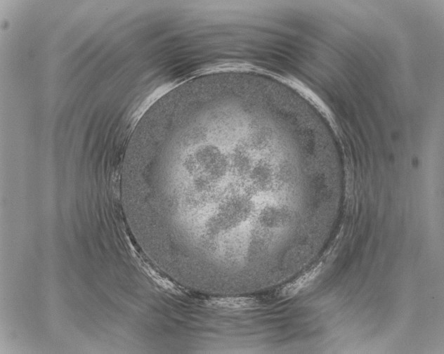 X0000059090953200510211603