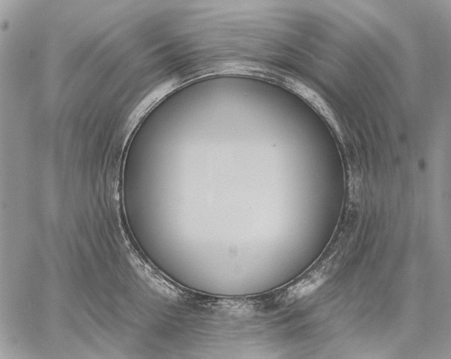 X0000059090954200510211604