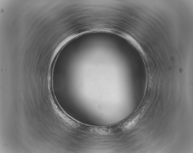 X0000059090955200510211604