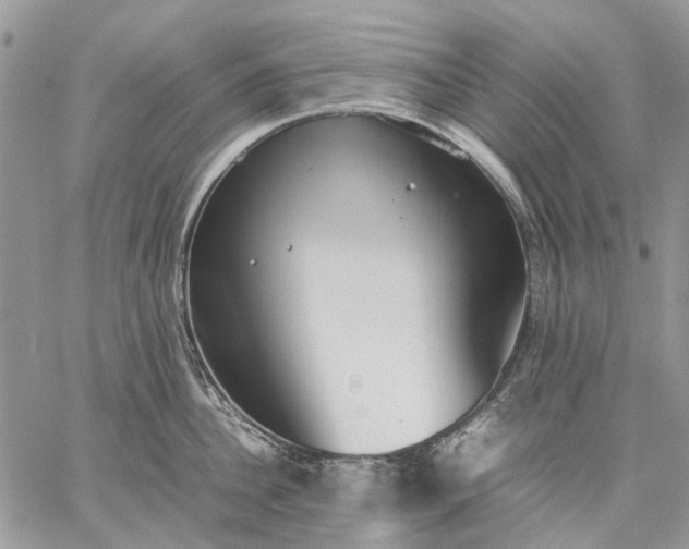 X0000059090956200510211604