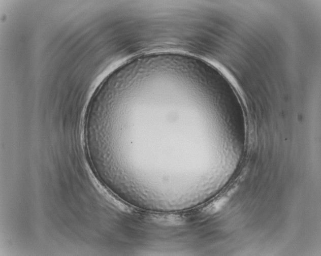 X0000059090957200510211604