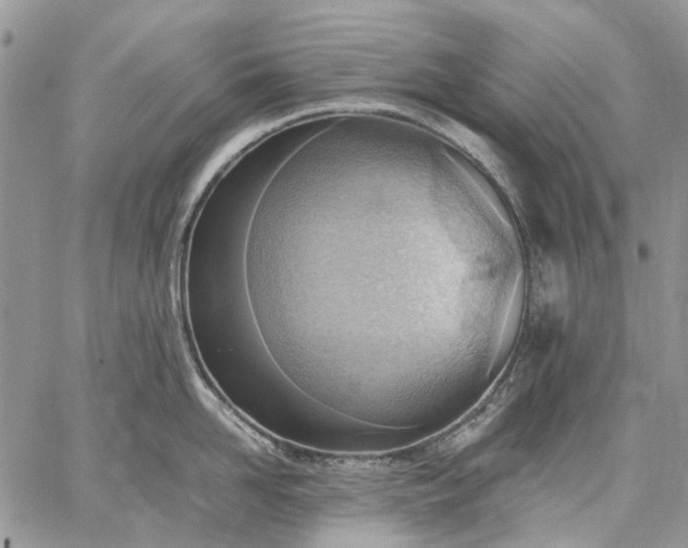 X0000059090958200510211604