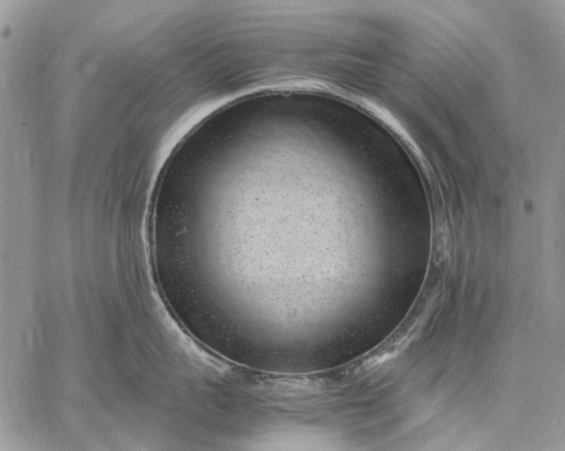 X0000059090959200510211604