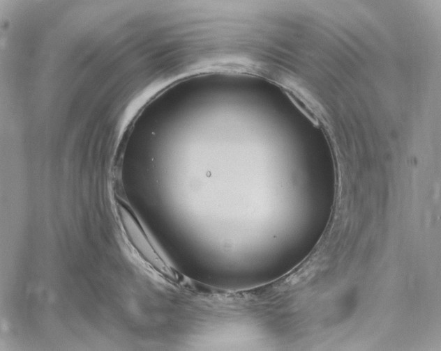 X0000059090960200510211604