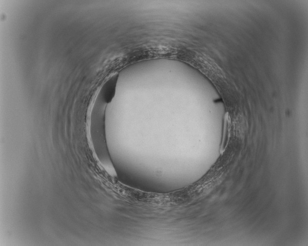 X0000059090961200510211603