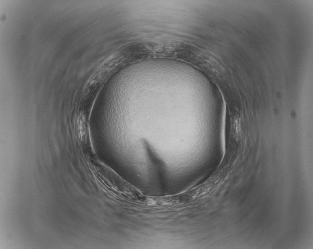 X0000059090963200510211603