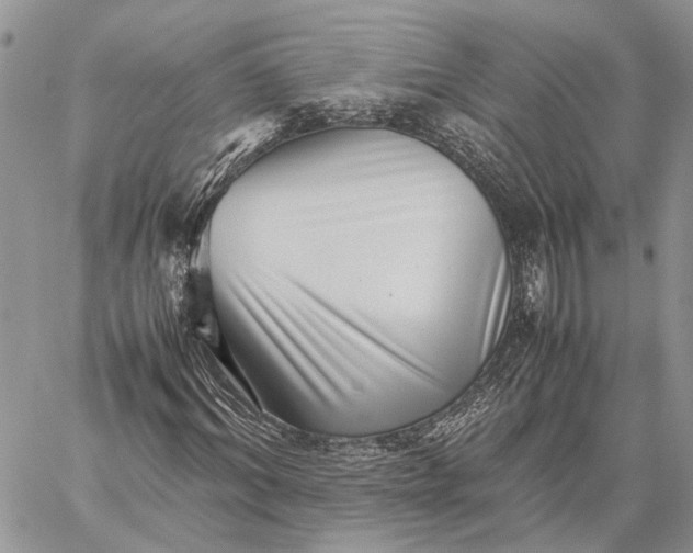 X0000059090964200510211603