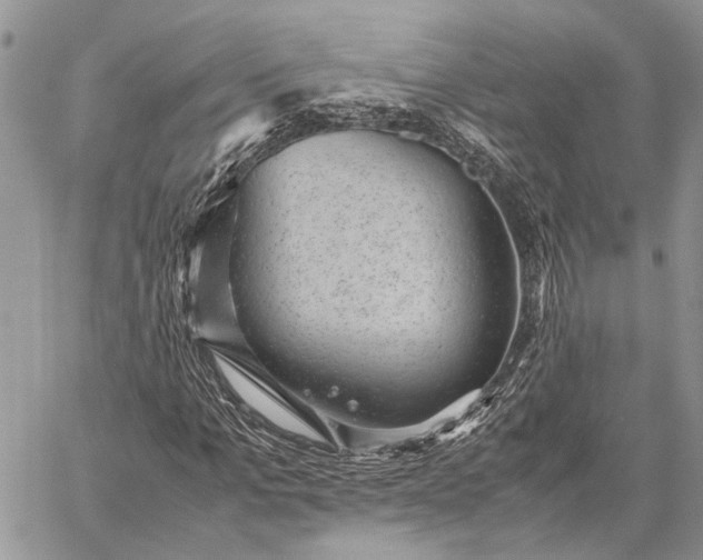 X0000059090965200510211603