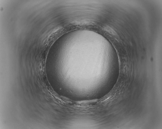 X0000059090966200510211603