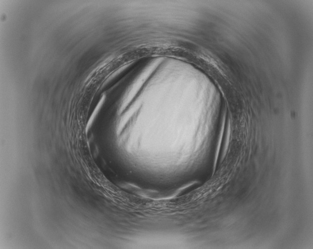 X0000059090967200510211603