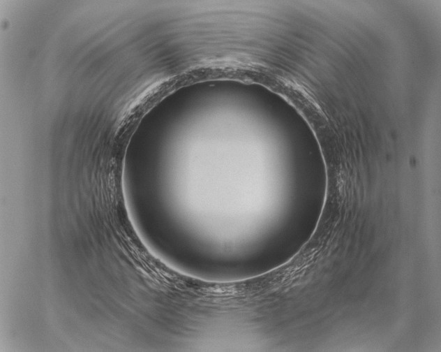 X0000059090968200510211603