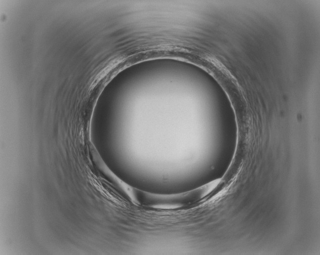 X0000059090969200510211603