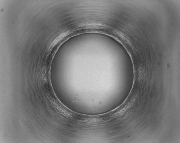 X0000059090970200510211603