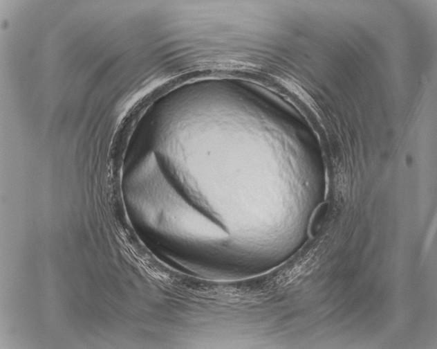 X0000059090971200510211603