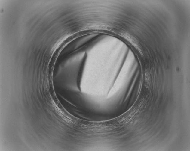 X0000059090972200510211603