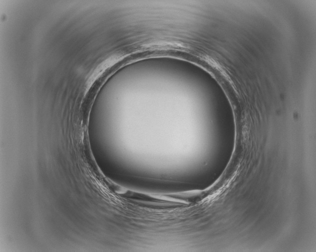 X0000059090973200510211603