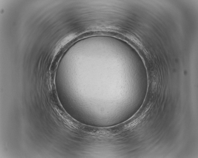 X0000059090974200510211603