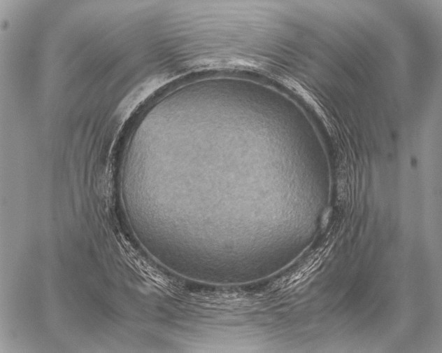 X0000059090975200510211603