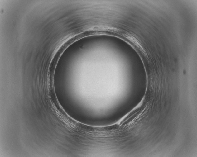 X0000059090976200510211603