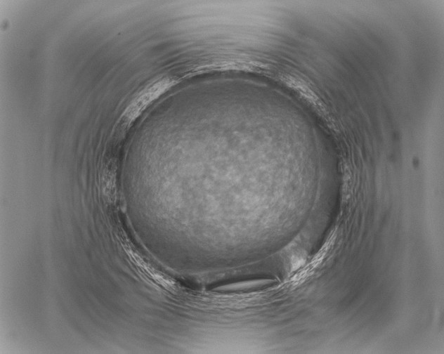 X0000059090977200510211603