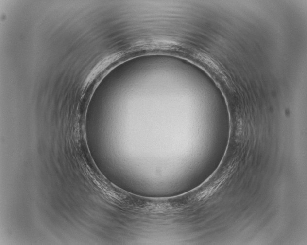 X0000059090978200510211603